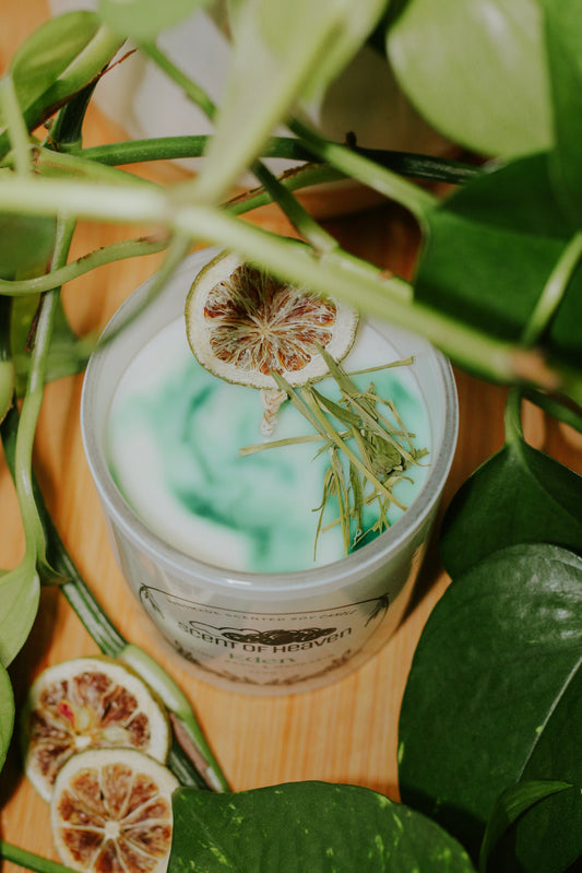 Eden - Lime, Basil & Mandarin Scented Candle