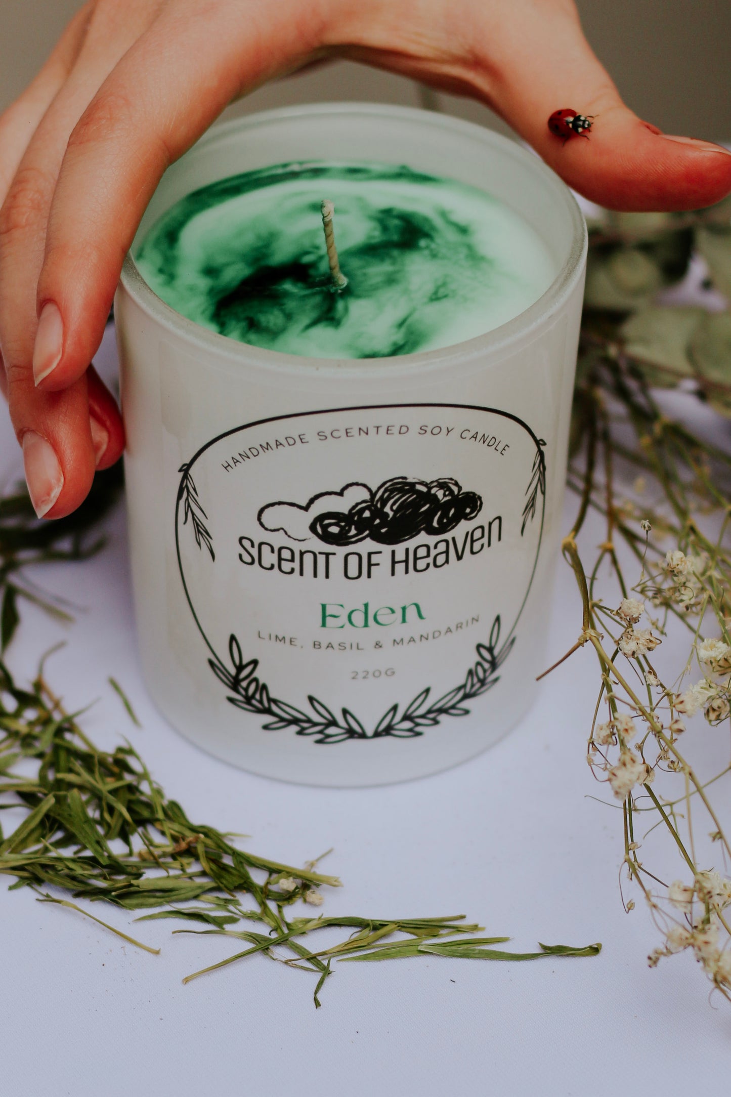 Eden - Lime, Basil & Mandarin Scented Soy Candle