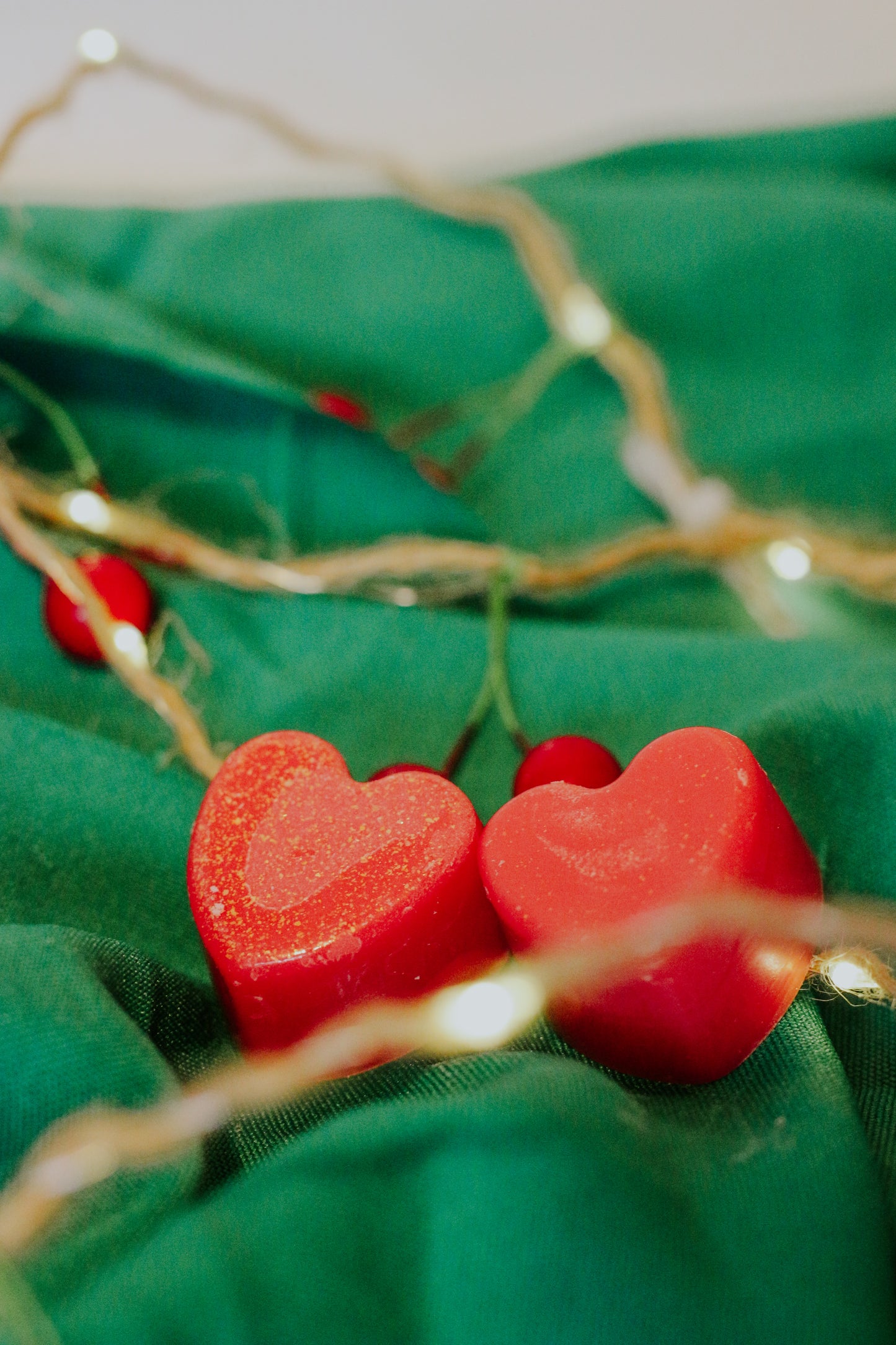 Family Season - Apple & Cinnamon Scented Soy Wax Melts (4)