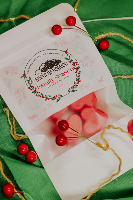 Family Season - Apple & Cinnamon Scented Soy Wax Melts (4)