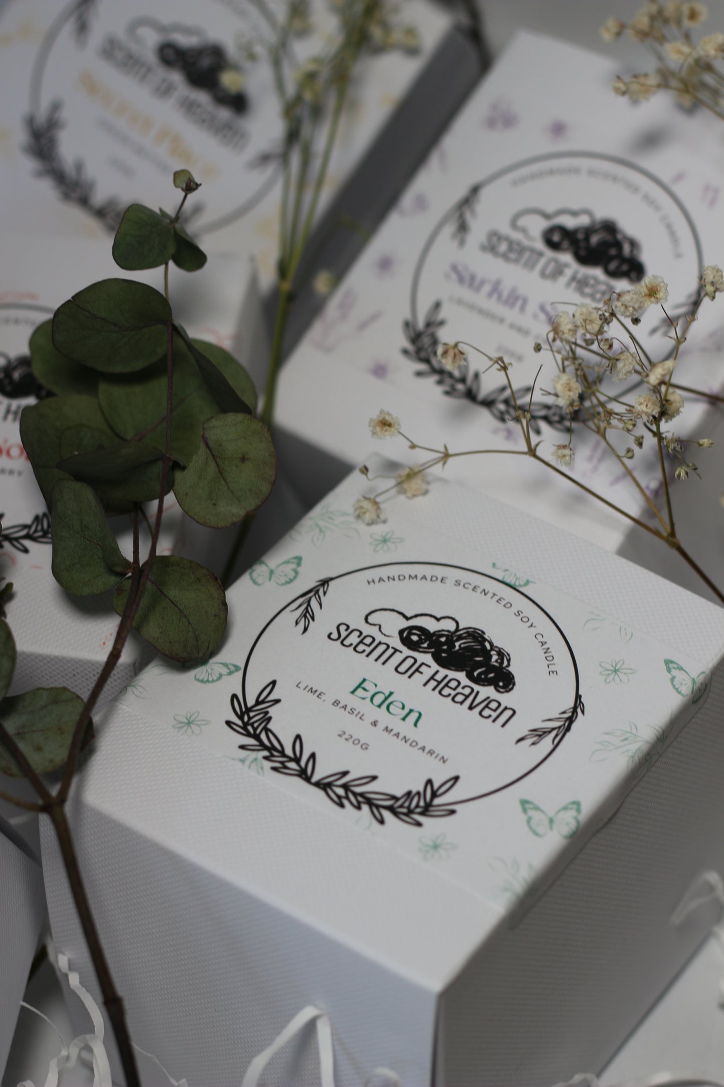 5 Month Candle Sub Box