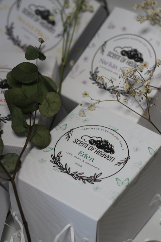 5 Month Candle Sub Box